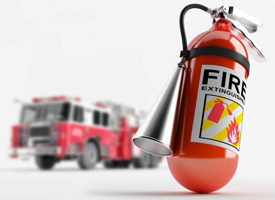 1697295606699.jpg 1697295606699.jpg